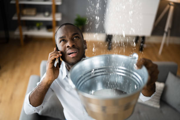 Best Ceiling water damage repair  in Verona, KY