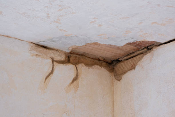 Best Basement water damage restoration  in Verona, KY