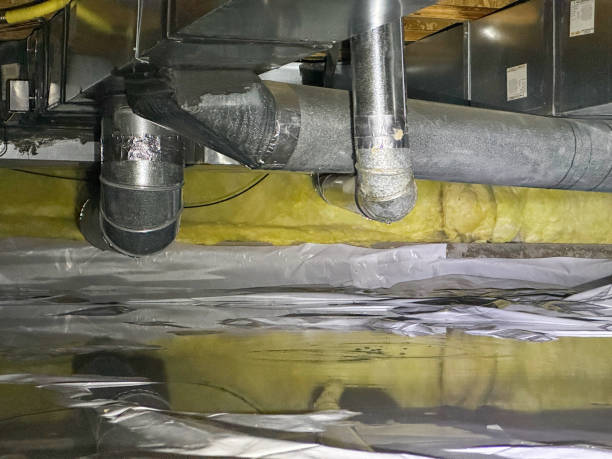Best Mold removal after water damage  in Verona, KY