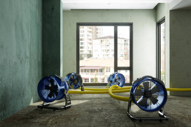 Best Local water damage restoration  in Verona, KY